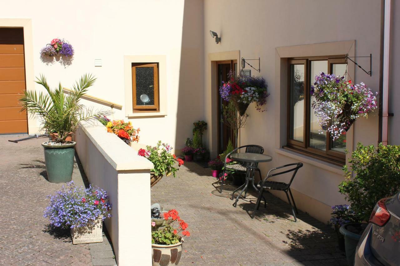 Ty Melin Bed & Breakfast Pembroke Dock Eksteriør bilde